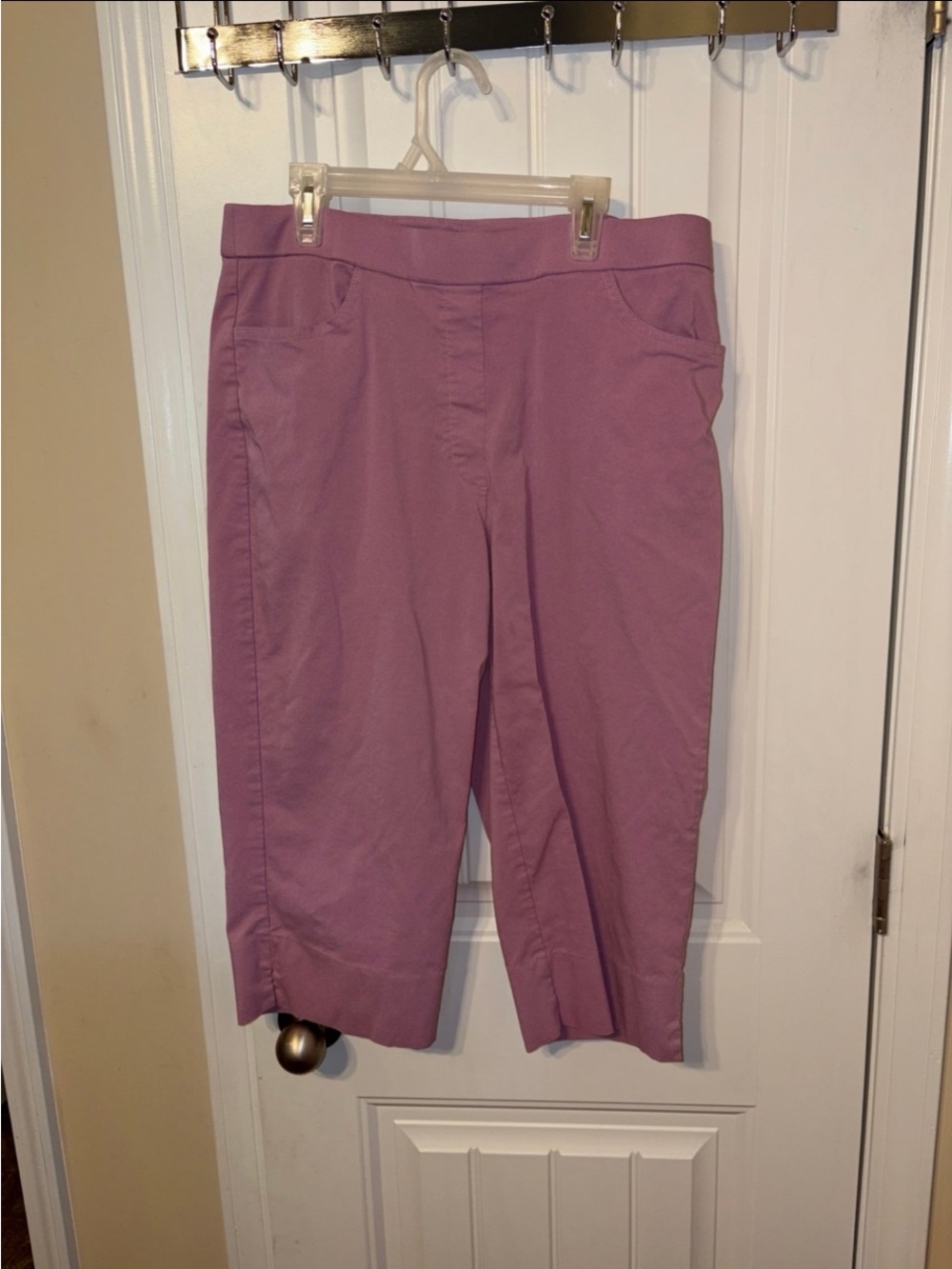 Alfred Dunner Mauve Pull-On Capri Pants